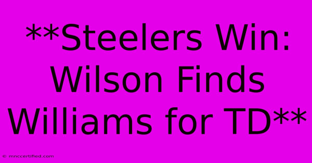 **Steelers Win: Wilson Finds Williams For TD**