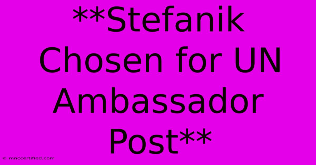 **Stefanik Chosen For UN Ambassador Post**