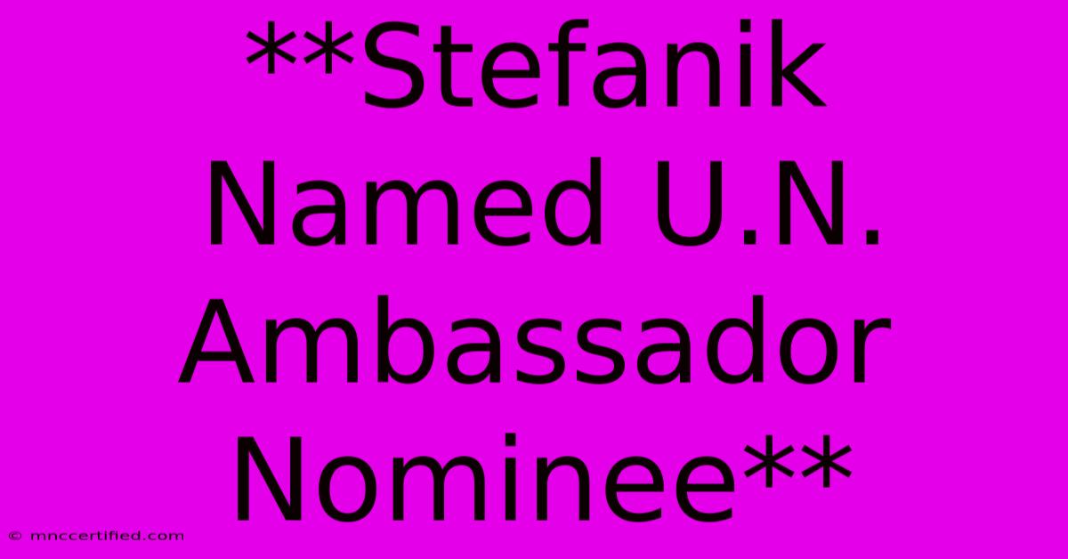 **Stefanik Named U.N. Ambassador Nominee**