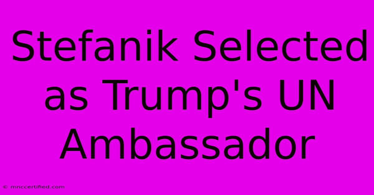 Stefanik Selected As Trump's UN Ambassador