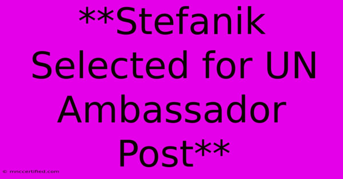 **Stefanik Selected For UN Ambassador Post**