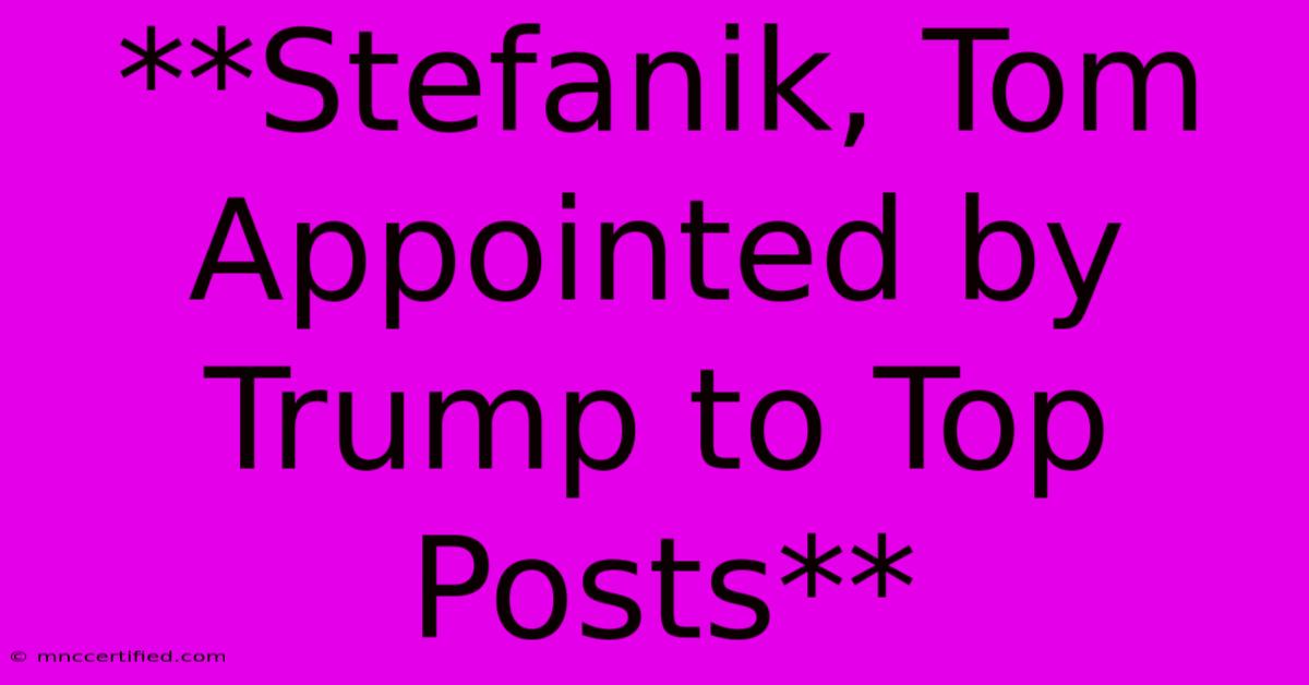 **Stefanik, Tom Appointed By Trump To Top Posts** 