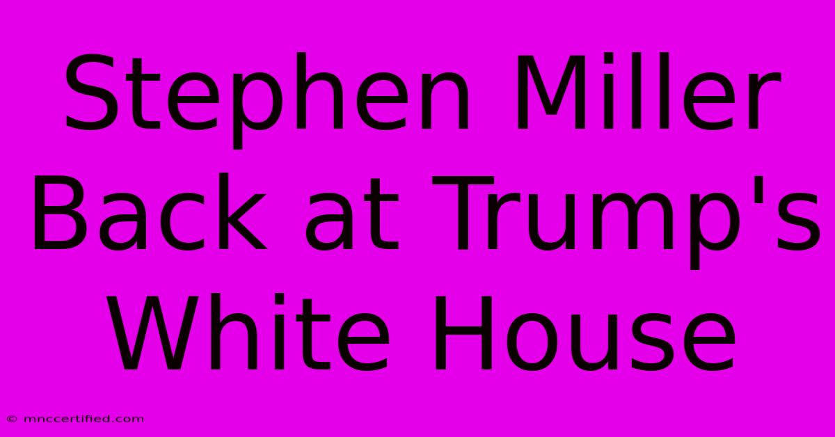 Stephen Miller Back At Trump's White House