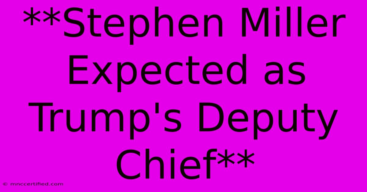 **Stephen Miller Expected As Trump's Deputy Chief**