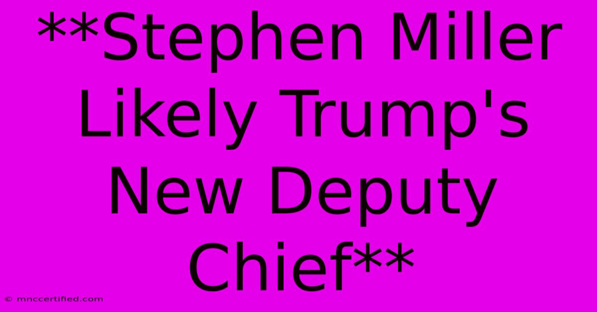 **Stephen Miller Likely Trump's New Deputy Chief**