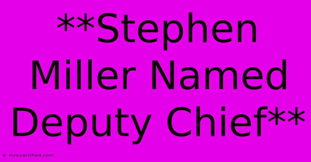 **Stephen Miller Named Deputy Chief**