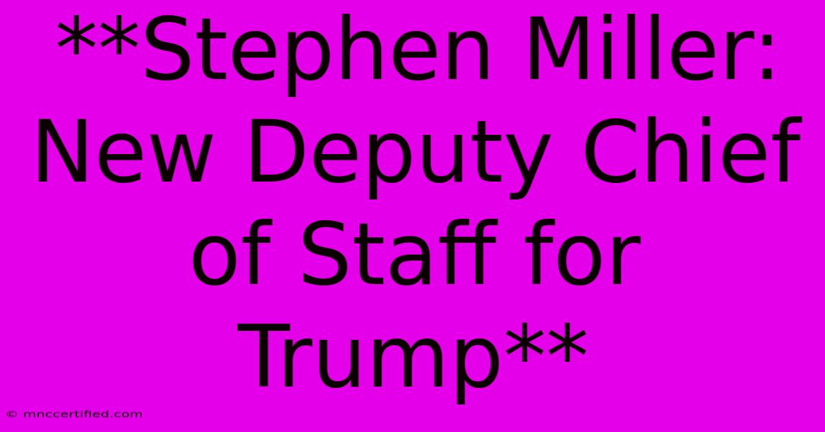 **Stephen Miller: New Deputy Chief Of Staff For Trump** 