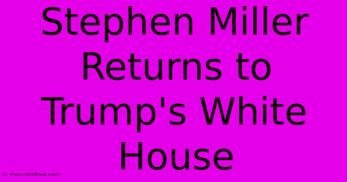 Stephen Miller Returns To Trump's White House