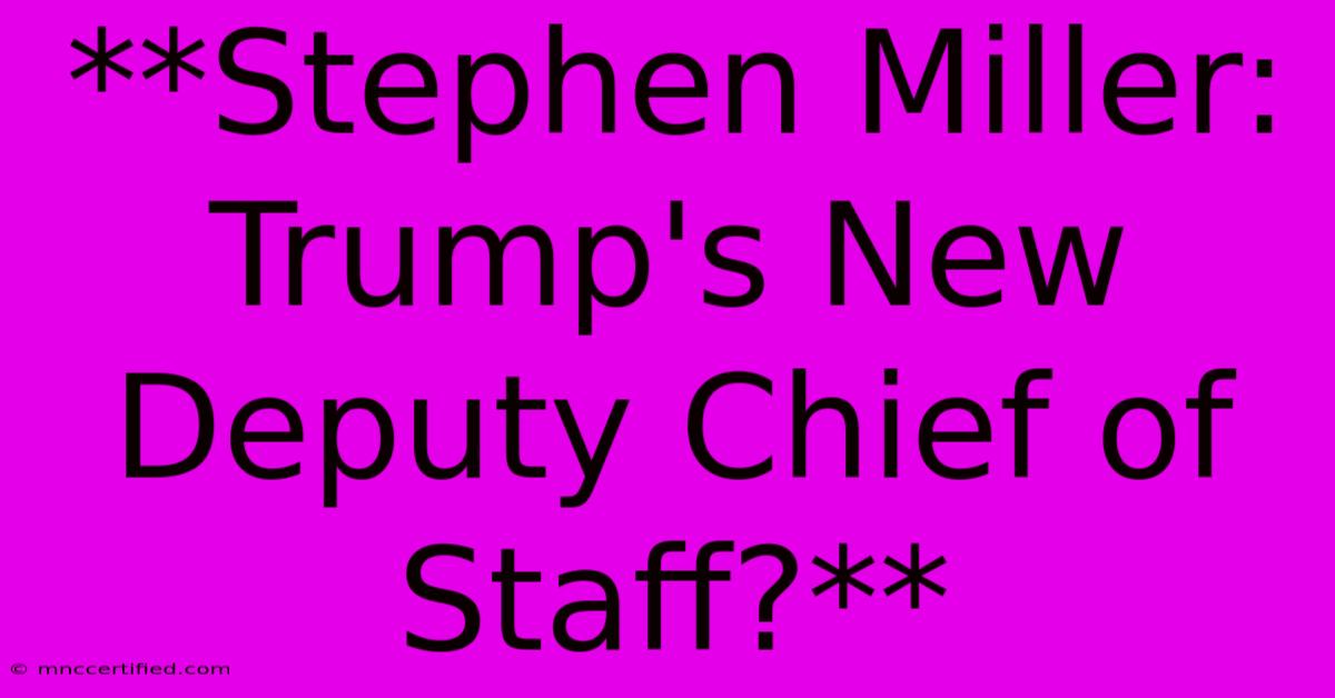 **Stephen Miller: Trump's New Deputy Chief Of Staff?**