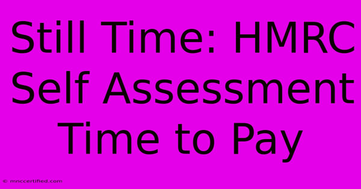 Still Time: HMRC Self Assessment Time To Pay