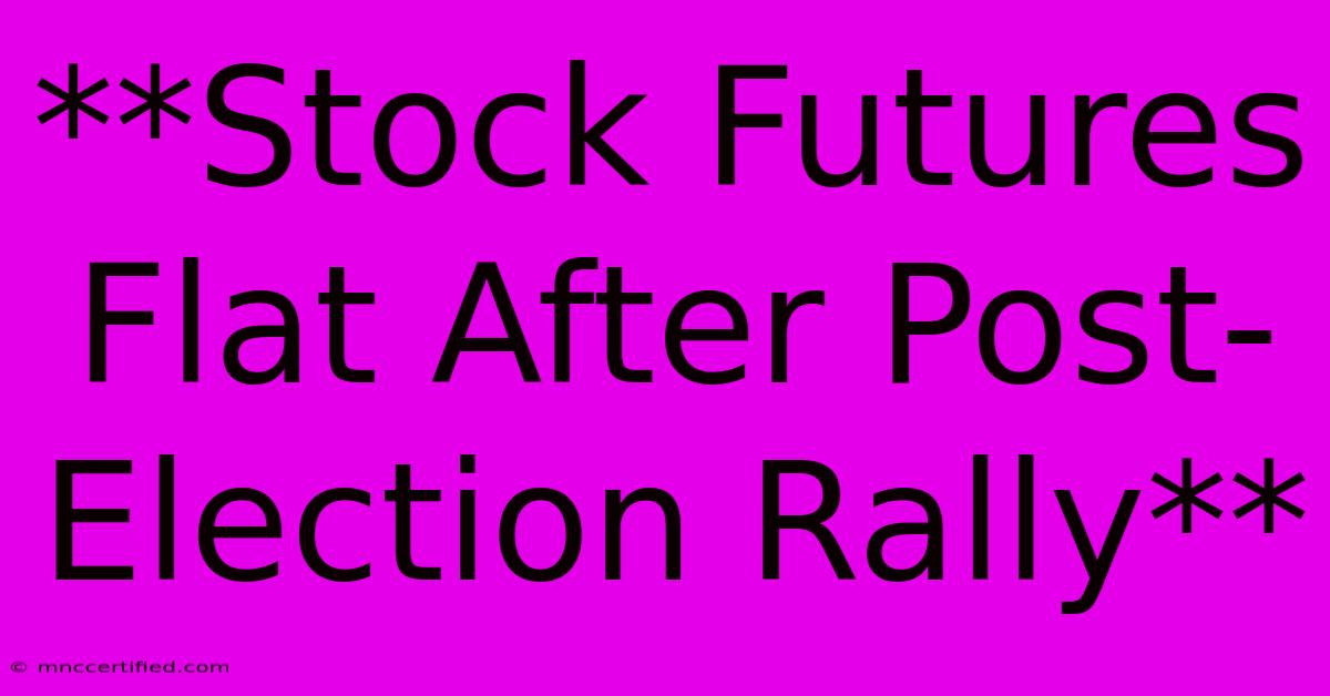 **Stock Futures Flat After Post-Election Rally** 