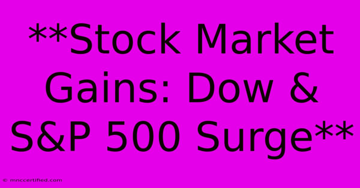 **Stock Market Gains: Dow & S&P 500 Surge**