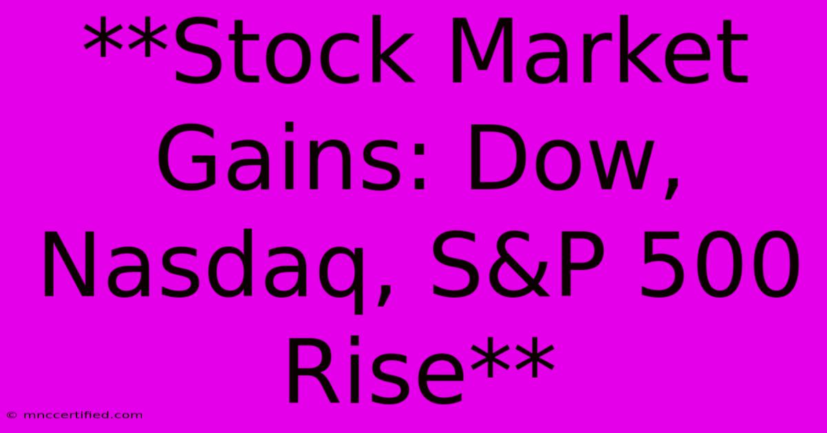 **Stock Market Gains: Dow, Nasdaq, S&P 500 Rise**