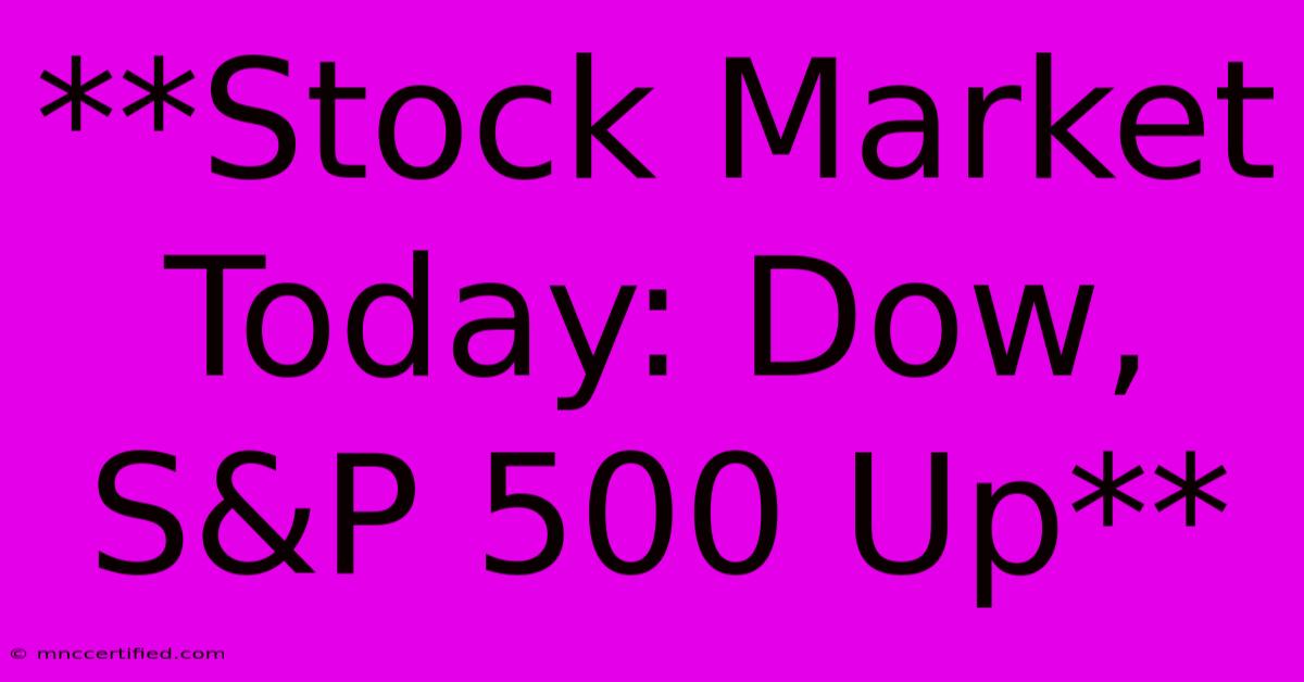 **Stock Market Today: Dow, S&P 500 Up** 