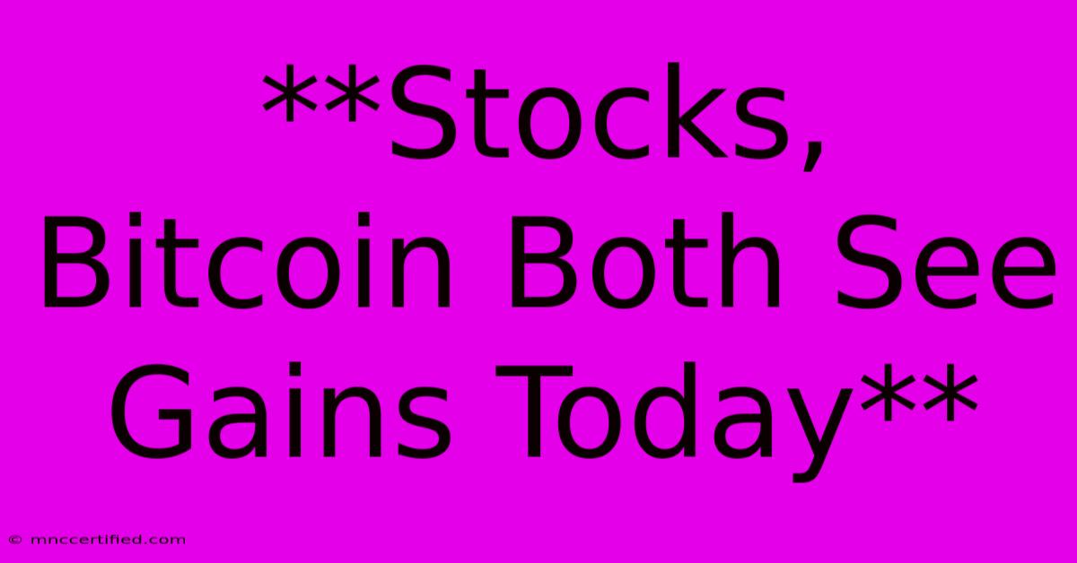 **Stocks, Bitcoin Both See Gains Today** 