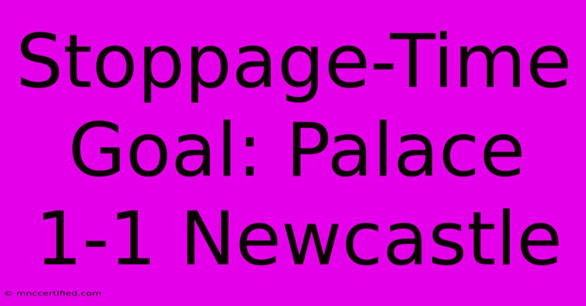 Stoppage-Time Goal: Palace 1-1 Newcastle