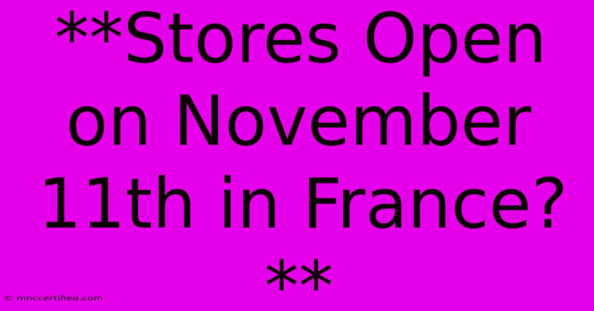 **Stores Open On November 11th In France?** 