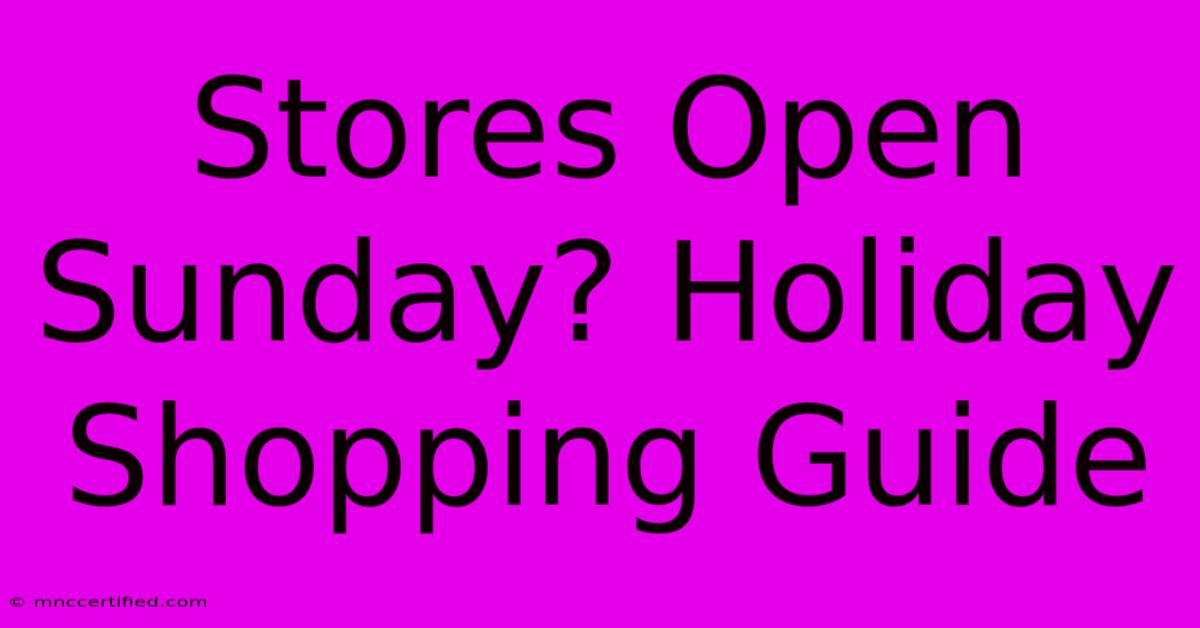 Stores Open Sunday? Holiday Shopping Guide