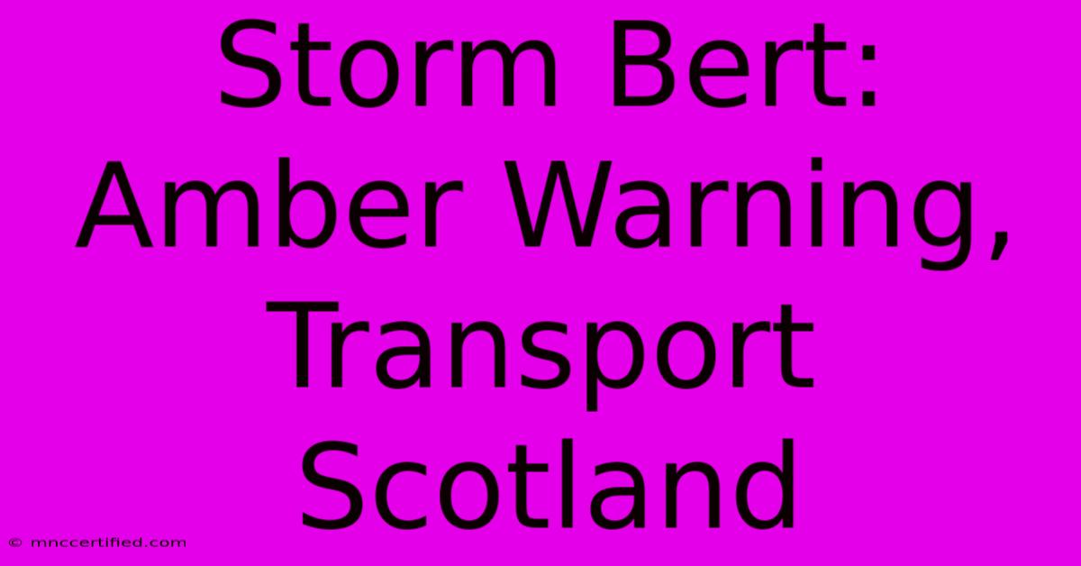 Storm Bert: Amber Warning, Transport Scotland