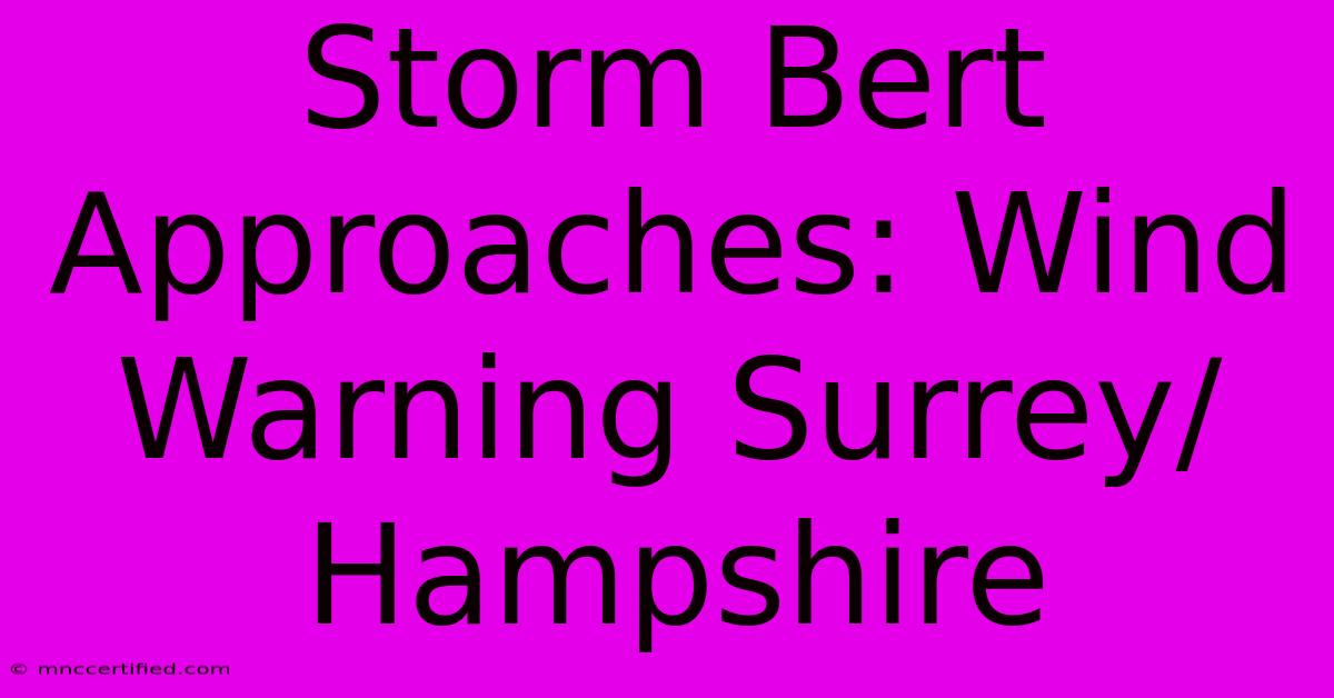 Storm Bert Approaches: Wind Warning Surrey/Hampshire