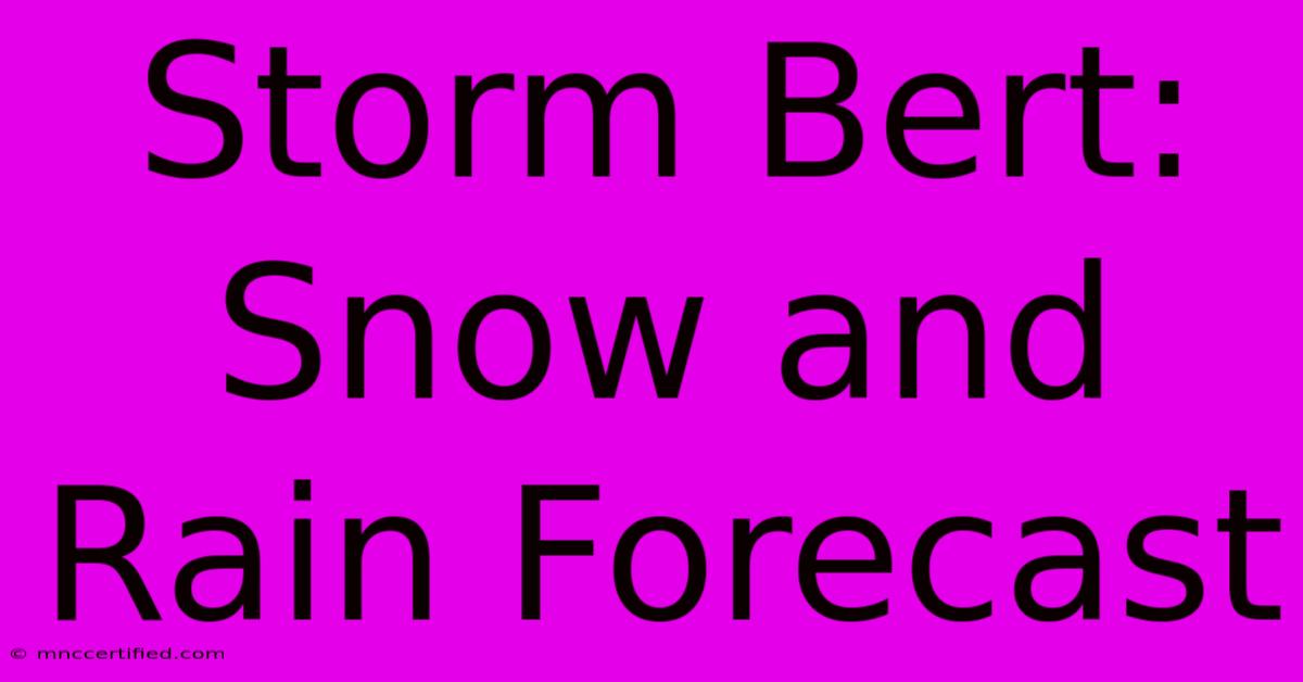 Storm Bert: Snow And Rain Forecast