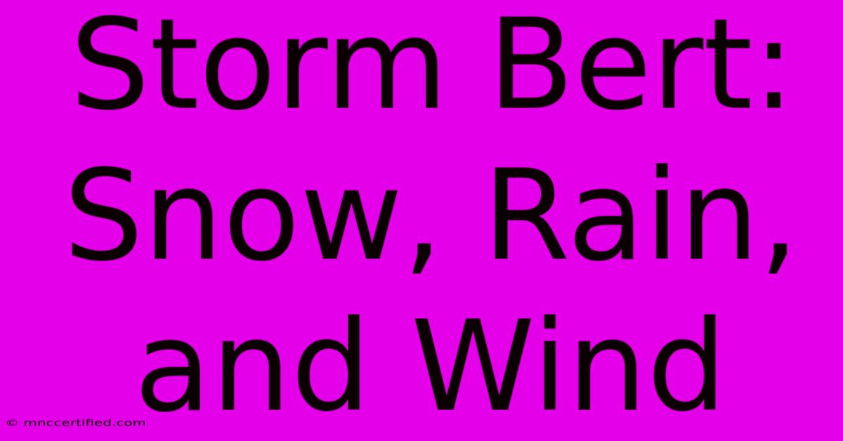 Storm Bert: Snow, Rain, And Wind