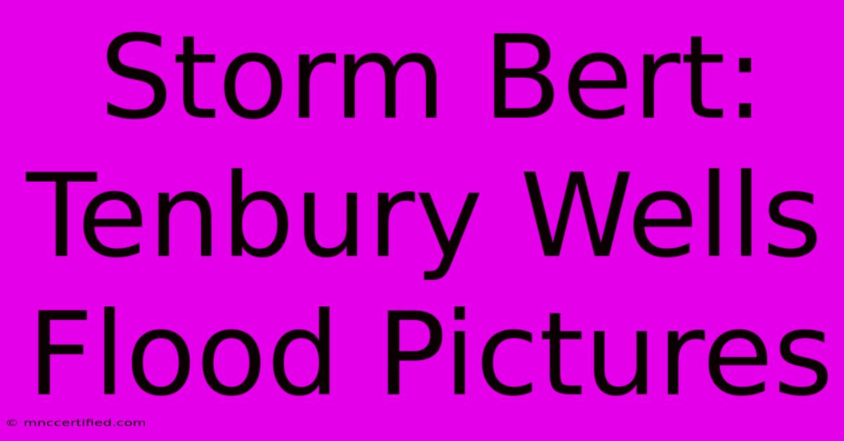 Storm Bert: Tenbury Wells Flood Pictures