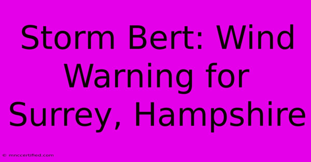 Storm Bert: Wind Warning For Surrey, Hampshire