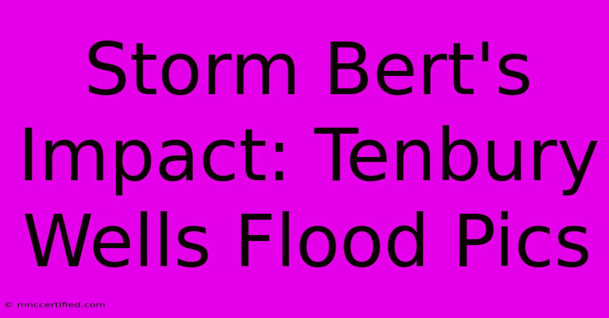 Storm Bert's Impact: Tenbury Wells Flood Pics