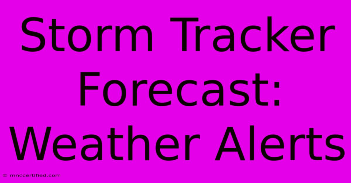 Storm Tracker Forecast: Weather Alerts