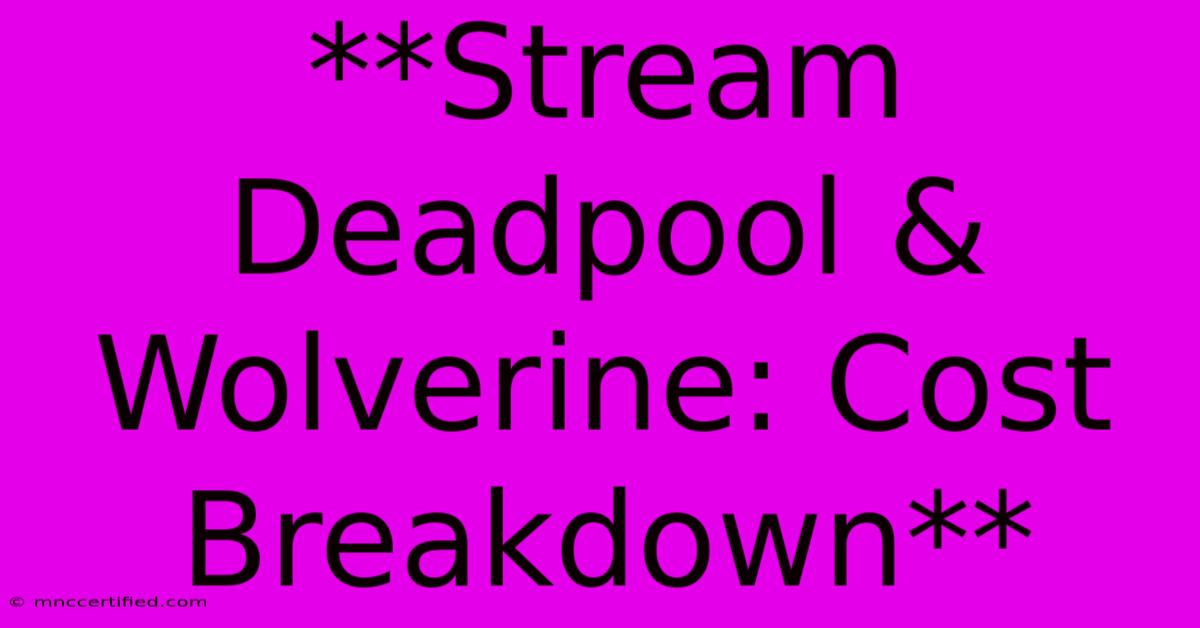 **Stream Deadpool & Wolverine: Cost Breakdown** 