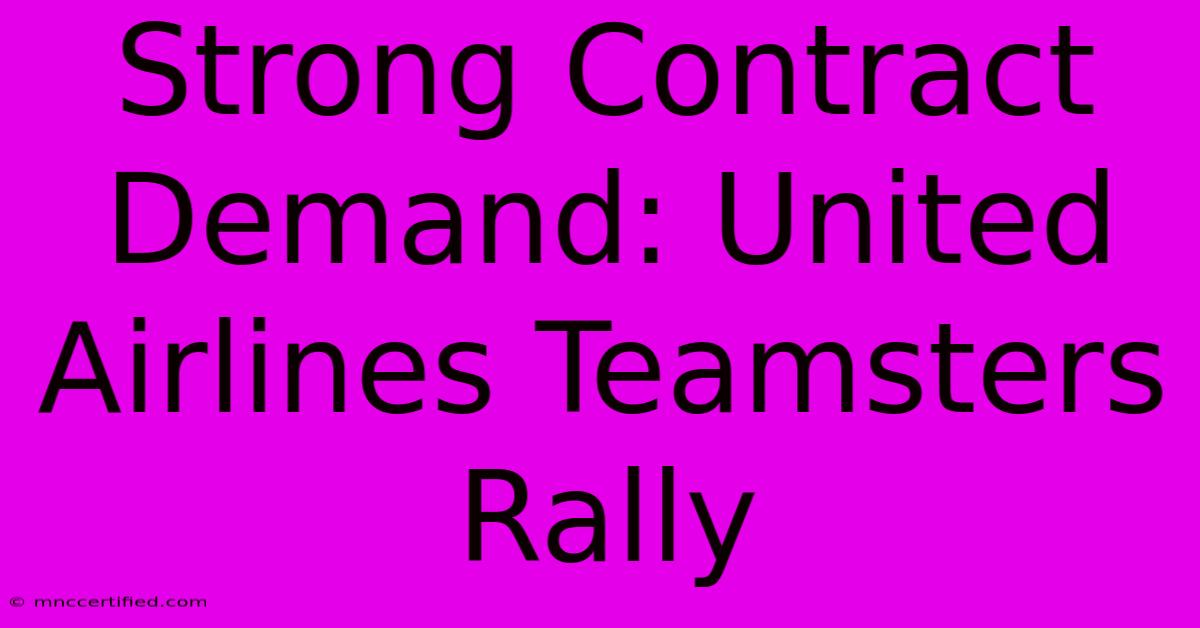 Strong Contract Demand: United Airlines Teamsters Rally