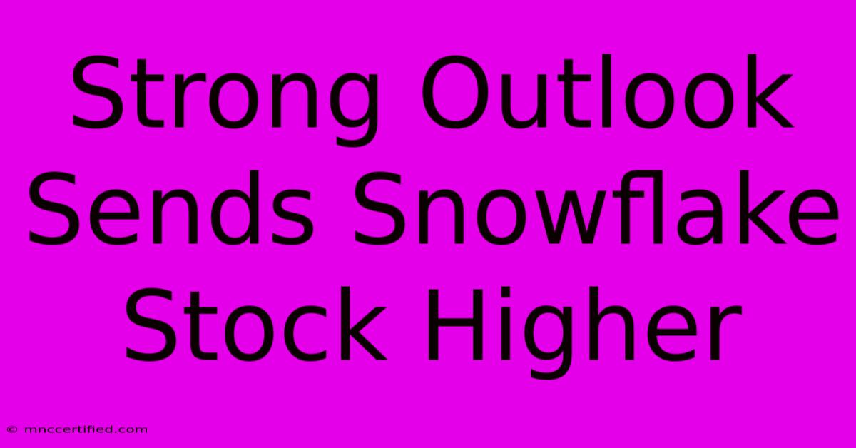 Strong Outlook Sends Snowflake Stock Higher