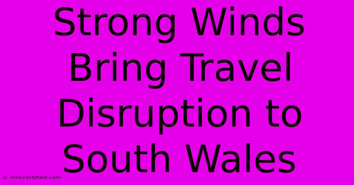 Strong Winds Bring Travel Disruption To South Wales