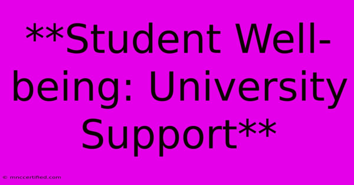 **Student Well-being: University Support**