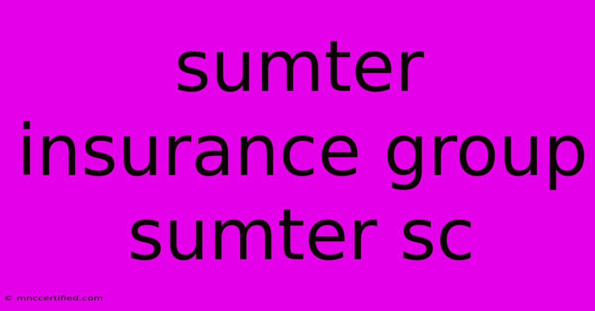 Sumter Insurance Group Sumter Sc