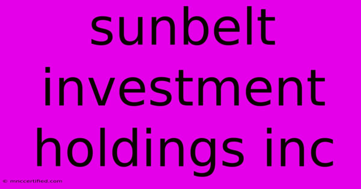 Sunbelt Investment Holdings Inc