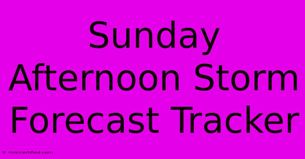 Sunday Afternoon Storm Forecast Tracker