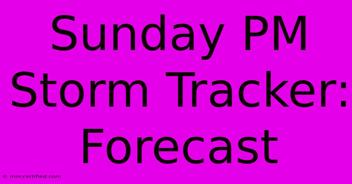 Sunday PM Storm Tracker: Forecast