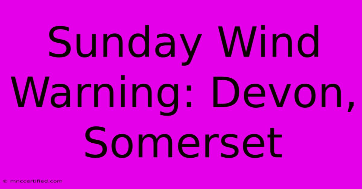 Sunday Wind Warning: Devon, Somerset