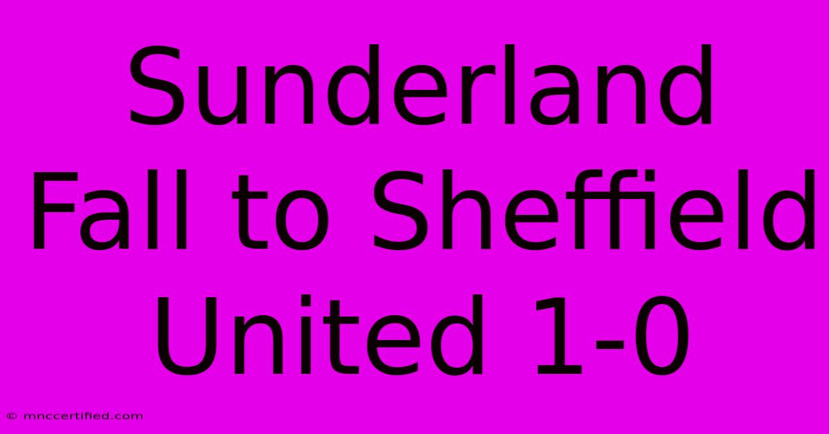 Sunderland Fall To Sheffield United 1-0