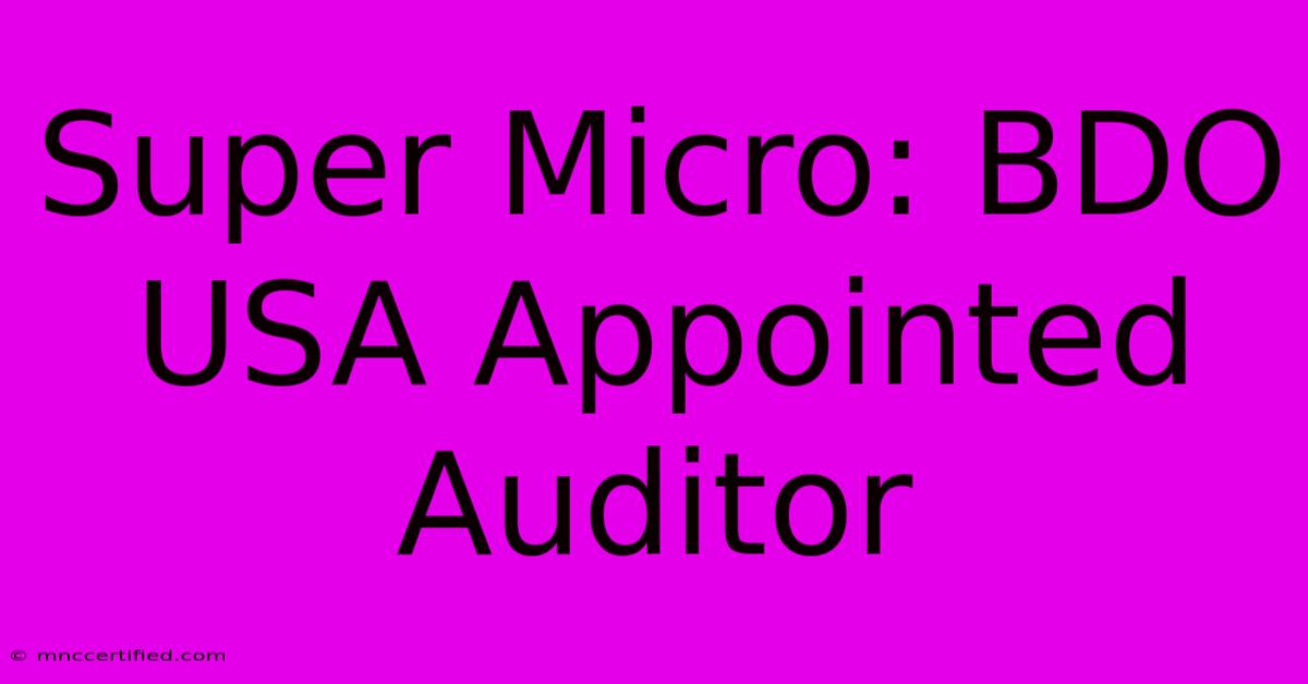 Super Micro: BDO USA Appointed Auditor