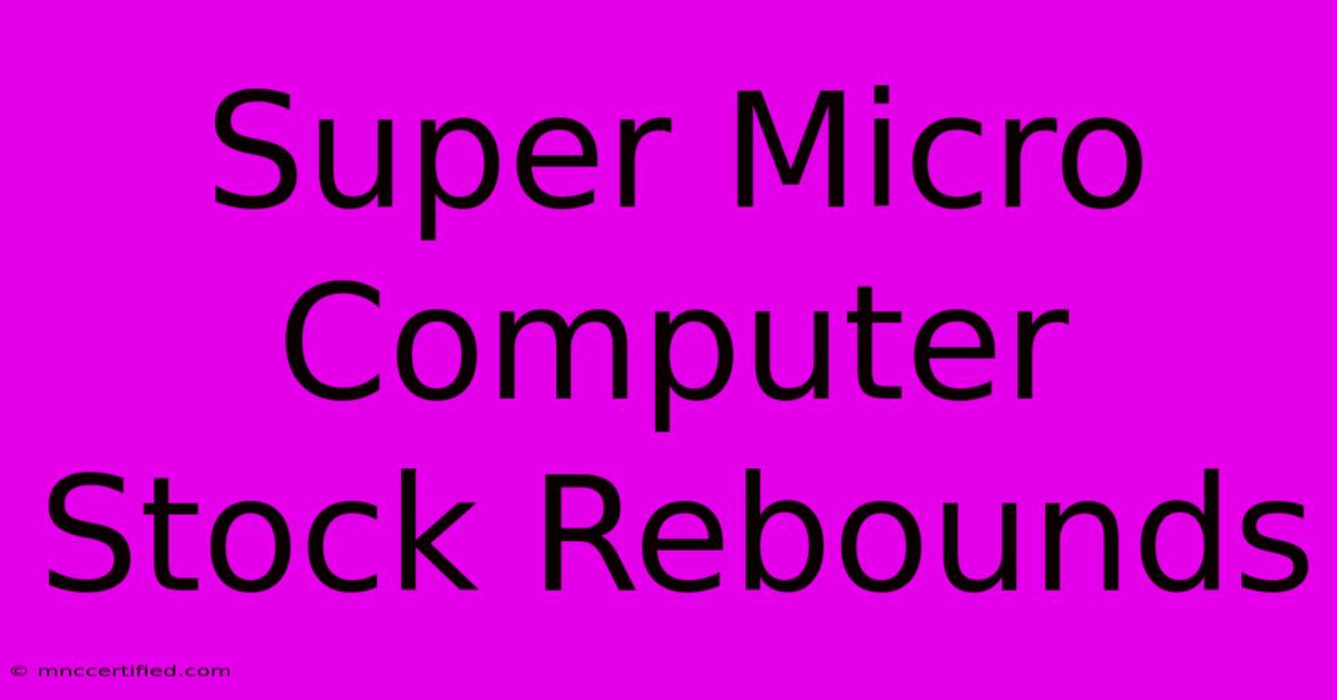 Super Micro Computer Stock Rebounds