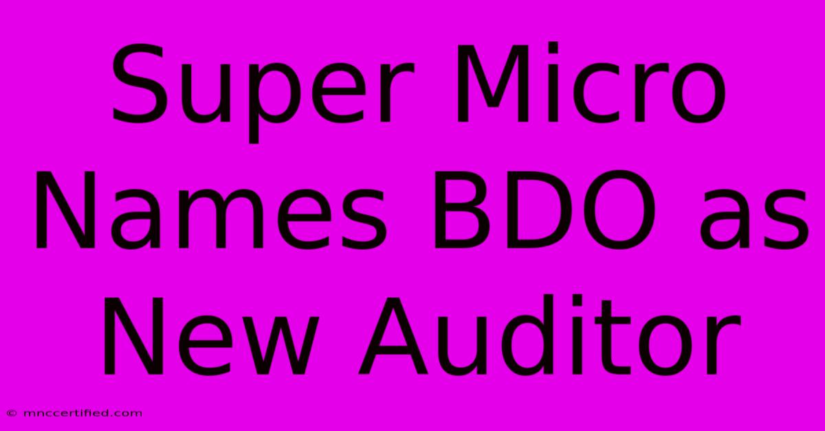 Super Micro Names BDO As New Auditor