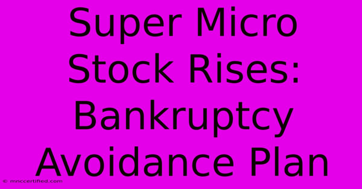 Super Micro Stock Rises: Bankruptcy Avoidance Plan