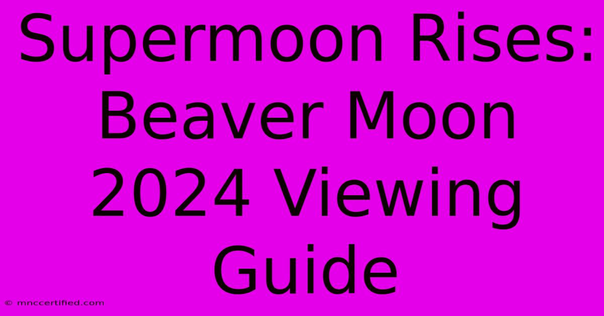 Supermoon Rises: Beaver Moon 2024 Viewing Guide