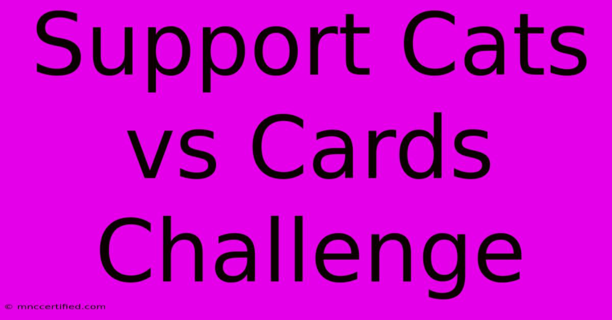 Support Cats Vs Cards Challenge