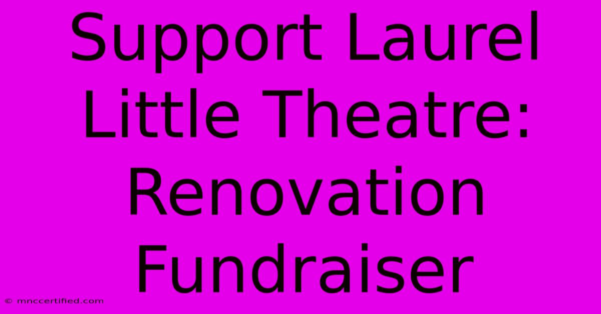 Support Laurel Little Theatre: Renovation Fundraiser