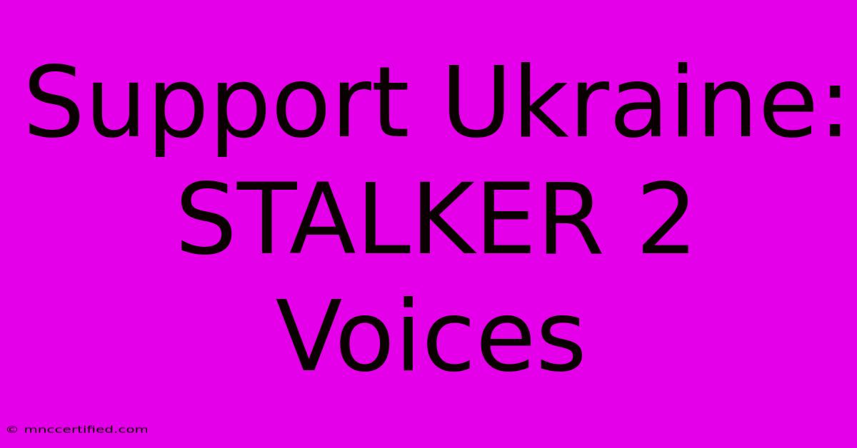 Support Ukraine: STALKER 2 Voices