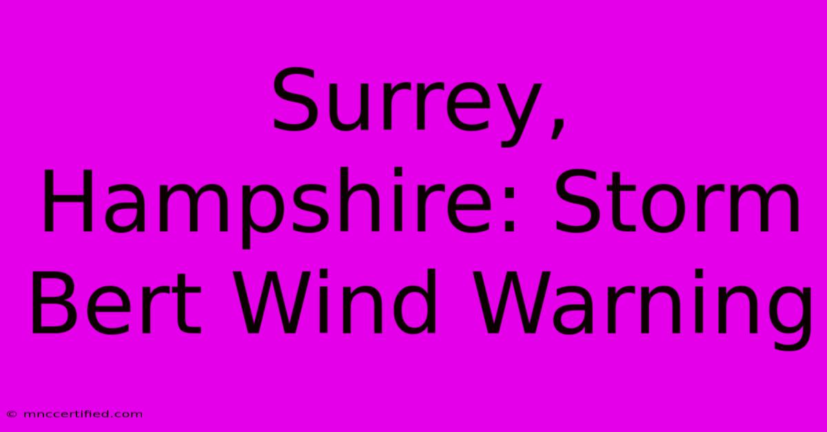 Surrey, Hampshire: Storm Bert Wind Warning